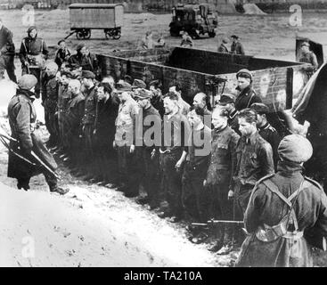 Soldati britannici di guardia SS uomini dopo la liberazione del campo di concentramento Bergen-Belsen. Foto Stock