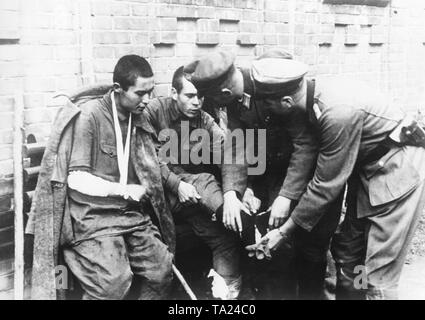 I medici tedeschi esaminare feriti sovietica sul fronte orientale durante la Seconda Guerra Mondiale. Foto: Langl Foto Stock