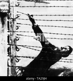 Morto internee camp appeso su un elettrico di filo spinato in un campo di concentramento, 1933-45 (b/w photo) Foto Stock