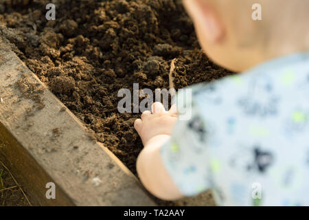 Bambino di piantare le piantine di pomodoro in serra. Giardinaggio organico e il concetto di crescita