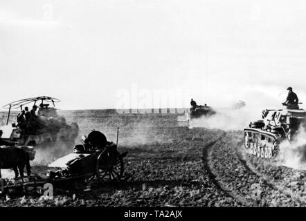 I serbatoi della Wehrmacht passate in un campo sul fronte orientale. A prescindere da un Panzer IV, vi è anche un blindato auto di ricognizione con antenne a telaio a sinistra tra i veicoli. Foto di Propaganda Company (PK): SS corrispondente di guerra Adendorf. Foto Stock