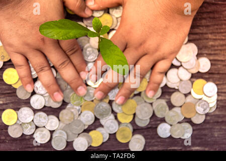 Alberi con denaro, risparmio di denaro e di crescente le mani. Foto Stock
