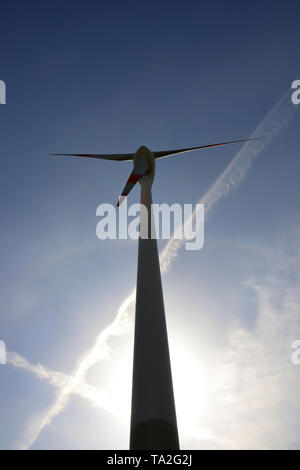 Turbina eolica in un campo vicino a Magdeburgo Foto Stock