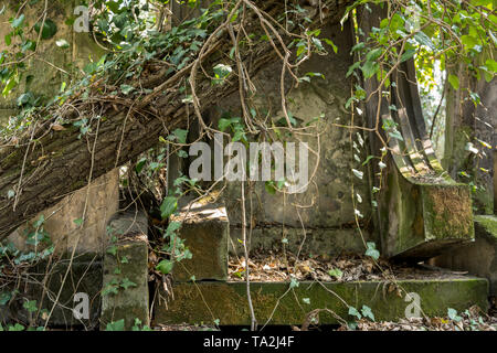 fallen tree on old jewish tombstone at a graveyard Foto Stock
