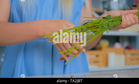 Florist professionista di taglio gli steli dei fiori in studio Foto Stock