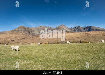 Il Cuillin Mountain Range, visto dal Glenbrittle, Skye, Scozia Foto Stock