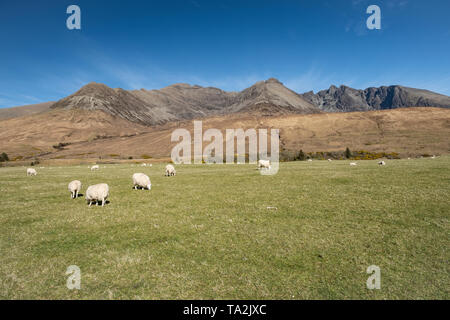 Il Cuillin Mountain Range, visto dal Glenbrittle, Skye, Scozia Foto Stock