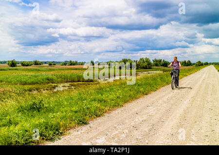 Un turista in bicicletta attraverso il parco naturale di Kopacki rit, dove la confluenza del Danubio e Drava formano zone umide. Kopacevo, Croazia. Maggio 2017. Foto Stock