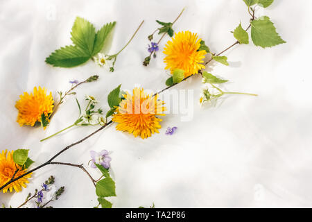 Fiori Selvatici composizione sul tessuto bianco sullo sfondo. Appartamento laico, vista dall'alto. Foto fatta all'aperto nella giornata di sole. Foto Stock