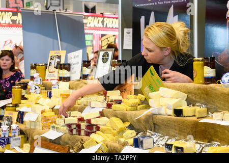 Donna al lavoro su bancarella vendendo la varietà di formaggi, il braccio proteso raggiungendo per la porzione di formaggio - Grande spettacolo dello Yorkshire, Harrogate, Inghilterra, Regno Unito. Foto Stock