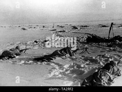 I soldati tedeschi strisciare sopra una coperta di neve settore sud-est del lago Ilmen. Due soldati sono equipaggiati con un moschettone K 98, gli altri con un MG 34. Essi hanno messo tele bianche oltre la loro uniforme per essere meglio camuffato. In background, numerosi soldati morti. Foto di Propaganda Company (PK): corrispondente di guerra Cantzler. Foto Stock