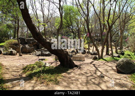 Colle delle campane National Park (Cerro de Las Campanas) a Queretaro, in Messico. Foto Stock