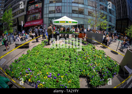 Orde di amanti vegetali gregge al capo del distretto di New York per il loro stabilimento-giveaway Mercoledì, 8 maggio 2019. Il distretto di indumento Alliance, il miglioramento del Business District (BID) per quartiere, tira tutti i loro fiori di primavera, pansies, in previsione di reimpianto flora estiva e dà sempre le piante in vaso per la moltitudine di visitatori e di persone che vivono e lavorano nella zona. (Â© Richard B. Levine) Foto Stock