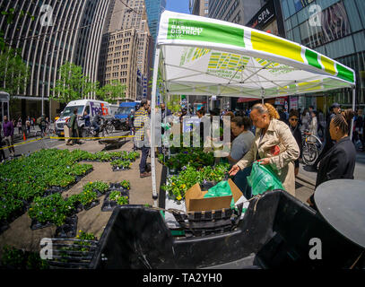 Orde di amanti vegetali gregge al capo del distretto di New York per il loro stabilimento-giveaway Mercoledì, 8 maggio 2019. Il distretto di indumento Alliance, il miglioramento del Business District (BID) per quartiere, tira tutti i loro fiori di primavera, pansies, in previsione di reimpianto flora estiva e dà sempre le piante in vaso per la moltitudine di visitatori e di persone che vivono e lavorano nella zona. (© Richard B. Levine) Foto Stock