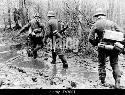 Fanti lotta il loro modo attraverso una foresta paludosa sul fronte orientale. Presumibilmente, si trovano vicino alla città di Zhukovka nella Regione di Brjansk. Foto di Propaganda Company (PK) : corrispondente di guerra Boehmer. Foto Stock