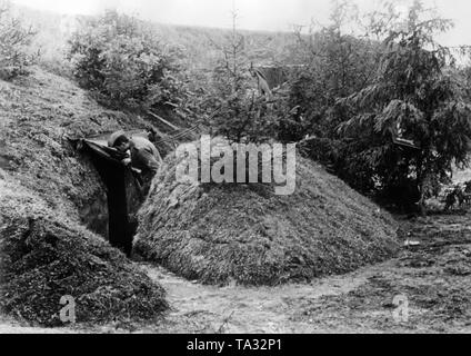 Tedesco bunker provvisorio sul fronte orientale nel settore dell Esercito centro di gruppo. L'Ufficio di comunicazione di un comando di reggimento post si trova anche lì. A Panskoe, settembre 1941. Foto: corrispondente di guerra Goetze. Foto Stock