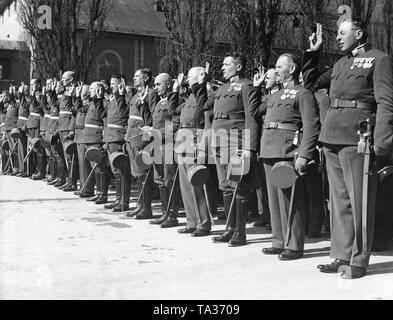 Giuramento degli ufficiali del Tiroler Jaeger-Regiment su Adolf Hitler a Innsbruck. Dopo l'annessione dell'Austria per il Reich tedesco, l'esercito austriaco è giurato di Adolf Hitler. Foto Stock