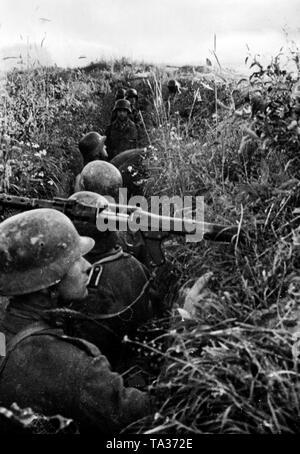 In un campo vicino alla città di Oryol (Orel), fanti attendono il loro comando un Maschinengewehr 34 è già in posizione. Foto di Propaganda Company (PK): corrispondente di guerra Gutjahr. Foto Stock