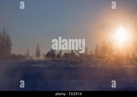 Trasognata verdure congelate alla mattina presto in inverno sfondo antinebbia Foto Stock