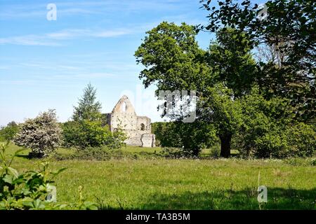 Le rovine di Newark Abbey, un convento agostiniano vicino a Ripley e Pyrford Surrey in Inghilterra REGNO UNITO Foto Stock