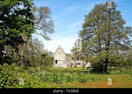 Le rovine di Newark Abbey, un convento agostiniano vicino a Ripley e Pyrford Surrey in Inghilterra REGNO UNITO Foto Stock