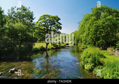 UK,Derbyshire,Peak District,Monsal Dale,vista del fiume Wye dal ponte Upperdale Foto Stock