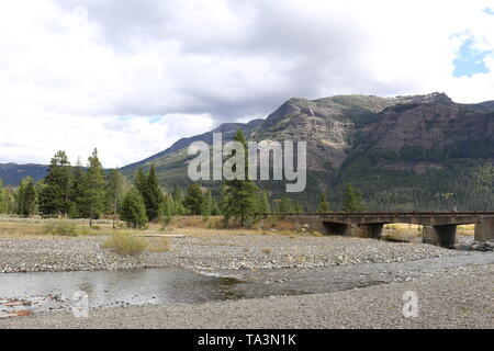 Pebble Creek presso il Parco Nazionale di Yellowstone con alberi di conifere e montagna in background Foto Stock