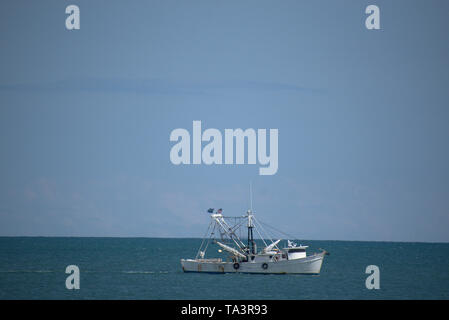 Barca da gamberetti lavorando le acque Foto Stock