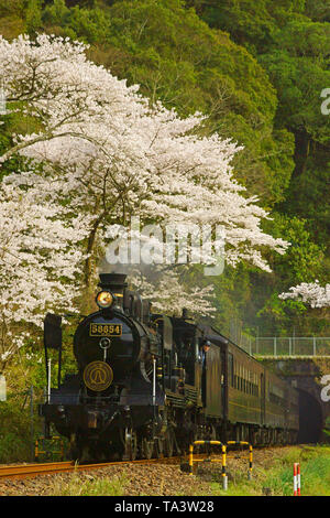 SL Hitoyoshi (locomotiva a vapore) in primavera Foto Stock