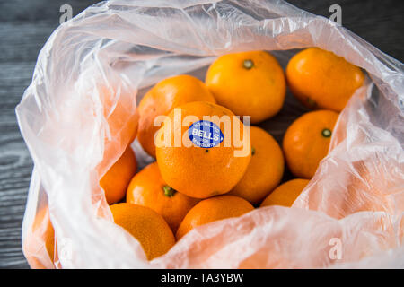 Mandarini acquistati al supermercato in un singolo uso di produrre una busta di plastica. Non rispettosi dell'ambiente. Bella la frutta di arancia, di marca con adesivo. Foto Stock