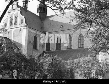 La foto mostra la Cattedrale di Oliwa in Gdansk. È dedicata alla Santissima Trinità, la Beata Vergine Maria e di San Bernardo. La basilica a tre navate è stata costruita alla fine del XII secolo dai monaci cistercensi e faceva parte di un monastero. Nel 1925, con la creazione di una diocesi da Papa Paolo VI, la chiesa è stata innalzata alla dignità di cattedrale. Foto Stock