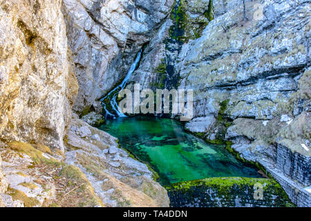 Cascata Savica nel Parco Nazionale del Triglav Slovenia Foto Stock