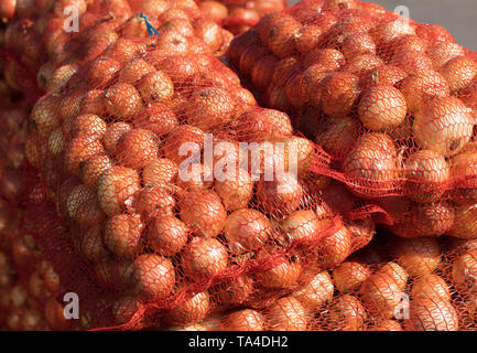 Il raccolto di ripe golden cipolle è venduto nel mercato in sacchetti di nylon in luminose giornate di sole Foto Stock