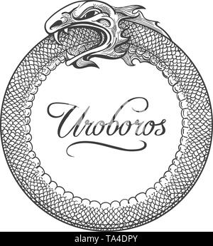 Mitologico mostro esoterica Uroboros disegnati in stile di incisione isolati su sfondo bianco. Mano bozzetto Serpente Mangiare ownTail. Illustra il vettore Illustrazione Vettoriale