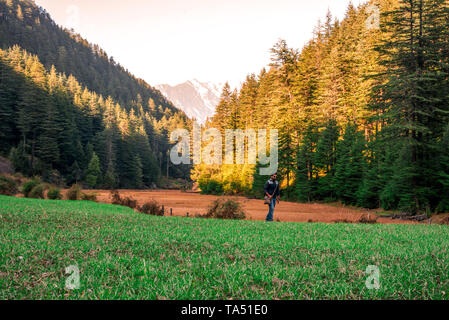 Rishi Pundrik lago - Foto di Campo circondato da alberi deodar in montagna - Himalaya Foto Stock