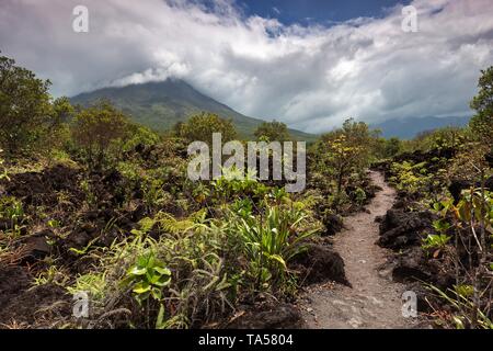 Sentiero escursionistico attraverso il campo di lava, back vulcano Arrenal nelle nuvole, nel parco nazionale del Vulcano Arenal, Parque Nacional Volcan Arenal, provincia di Alajuela Foto Stock