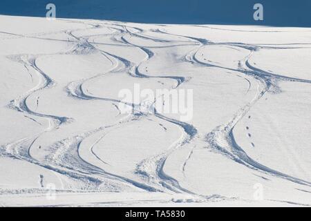 Piste da sci su un pendio di montagna in polvere di neve, Austvagoy, Lofoten, Norvegia Foto Stock