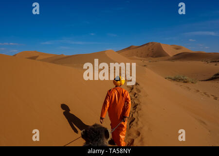 Visite camel tour tramonto attraverso la Erg Chebbi dune di sabbia nel deserto del Sahara, Merzouga, Marocco Foto Stock