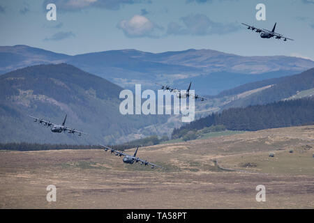 Un raro gruppo di quattro USAF C-130 Hercules aerei di volare a livello basso attraverso LFA 7, Mach Loop vicino a Dolgellau Galles, UK. Foto Stock