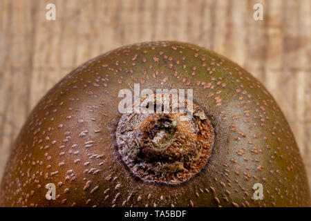 Kiwi Gold skin close up dettaglio sullo sfondo Foto Stock