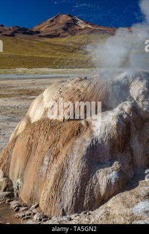 Active Geyser vista dettagliata in El Tatio, composizione verticale Foto Stock