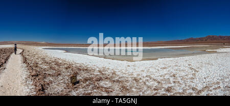 Vista posteriore del turista a piedi lungo Baltinache salar e lagune nascoste Foto Stock