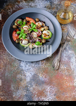 Deliziosa insalata con verdure grigliate, mozzarella, olive, basilico e salsa balsamica. Cucina mediterranea Foto Stock