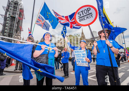 Westminster, Londra, Regno Unito. 22 maggio 2019. SODEM, pro UE, i manifestanti continuano a fare il loro punto per i restanti nell'UE e al di fuori del Parlamento alla vigilia delle elezioni per il Parlamento europeo. Credito: Guy Bell/Alamy Live News Foto Stock