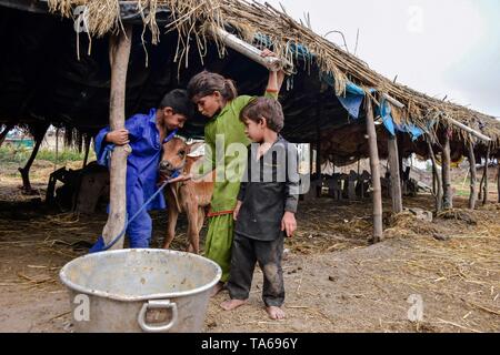 22 maggio 2019 - Patiala Punjab, India - bambini nomadi visto giocare al di fuori della loro casa di fortuna in Patiala distretto del Punjab (India). (Credito Immagine: © Saqib Majeed/SOPA immagini via ZUMA filo) Foto Stock