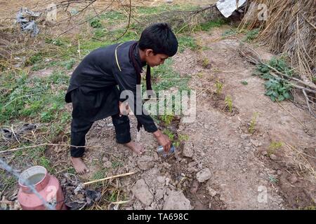 22 maggio 2019 - Patiala Punjab, India - un nomade boy visto impianti di irrigazione al di fuori della sua casa di fortuna in Patiala distretto del Punjab (India). (Credito Immagine: © Saqib Majeed/SOPA immagini via ZUMA filo) Foto Stock