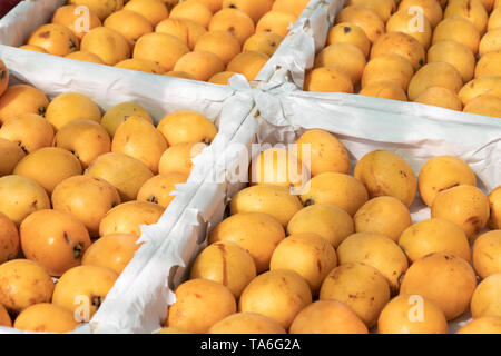 Nespole del Giappone di frutta o medlars giapponese sulle casse al mercato degli agricoltori. Eriobotrya japonica Foto Stock