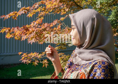 Un viaggiatore di una donna musulmana che indossa un hijab e abiti di batik, stava guardando le foglie di acero ha prelevato dal prossimo all'acero Foto Stock