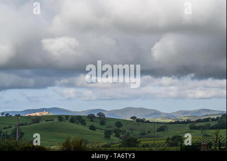 Montiano, Maremma Toscana, Italia Foto Stock