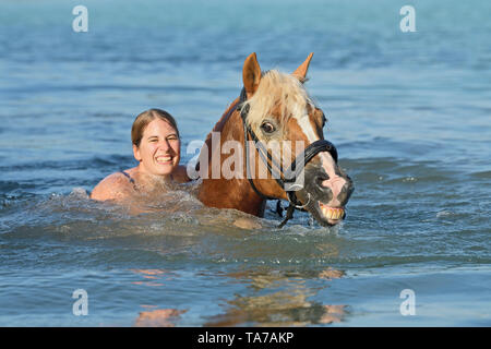 Cavalli di Razza Haflinger. Giovane donna di nuoto con il suo cavallo in un lago. Germania Foto Stock